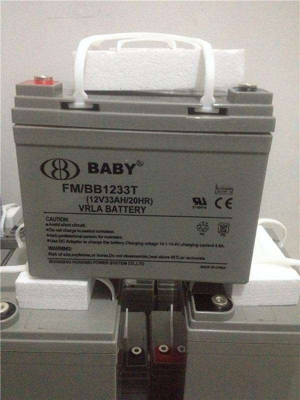 BABY蓄电池CNF12200T不间断电源
