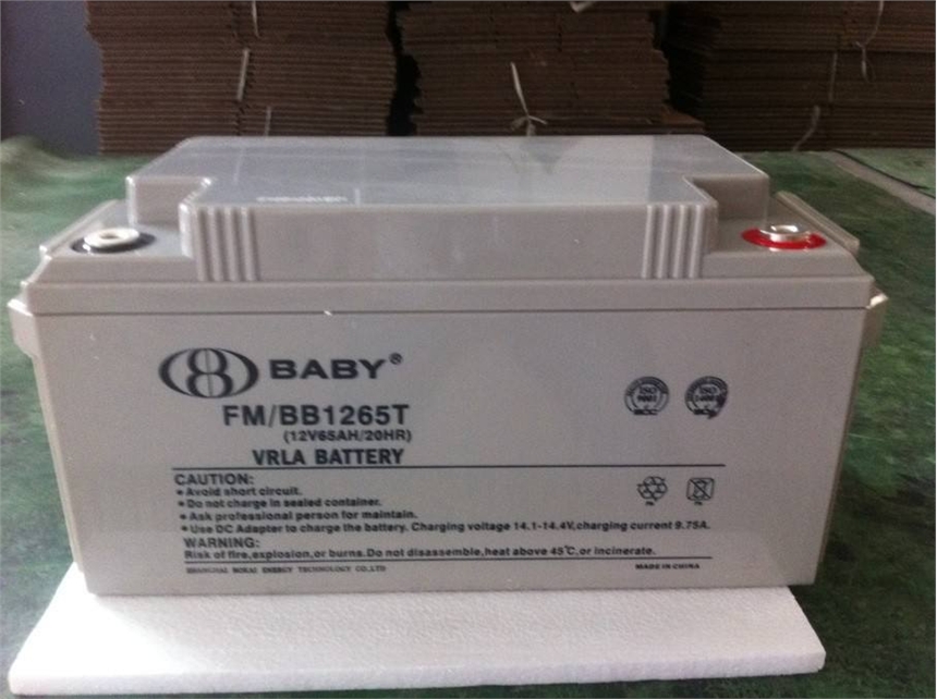 BABY蓄电池FM12-120正品价格